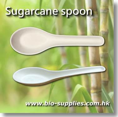 描述: 描述: Y:\Clement\W Website and pics\4. Bio-supplies\Bio-supplies 20240211\sugarcane_spoon125-2E.JPG
