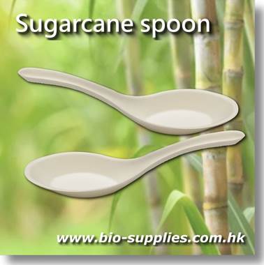 描述: 描述: Y:\Clement\W Website and pics\4. Bio-supplies\Bio-supplies 20240211\sugarcane_spoon1E.JPG